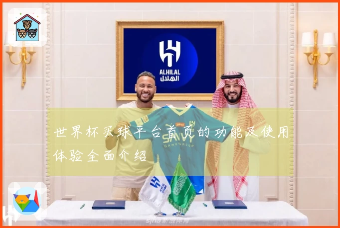 世界杯买球平台首页的功能及使用体验全面介绍