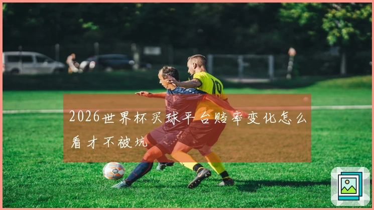 2026世界杯买球平台赔率变化怎么看才不被坑