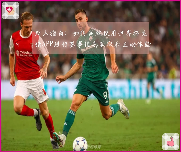 新人指南：如何高效使用世界杯竞猜APP进行赛事信息获取和互动体验