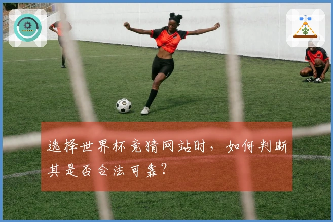 选择世界杯竞猜网站时，如何判断其是否合法可靠？