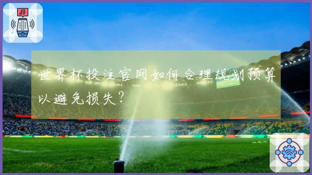 世界杯投注官网如何合理规划预算以避免损失？
