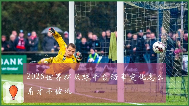 2026世界杯买球平台赔率变化怎么看才不被坑