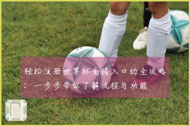 轻松注册世界杯竞猜入口的全攻略：一步步带你了解流程与功能