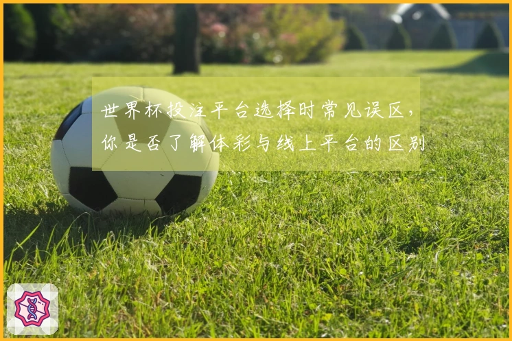 世界杯投注平台选择时常见误区，你是否了解体彩与线上平台的区别？