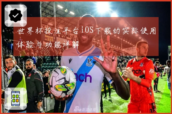世界杯投注平台iOS下载的实际使用体验与功能详解