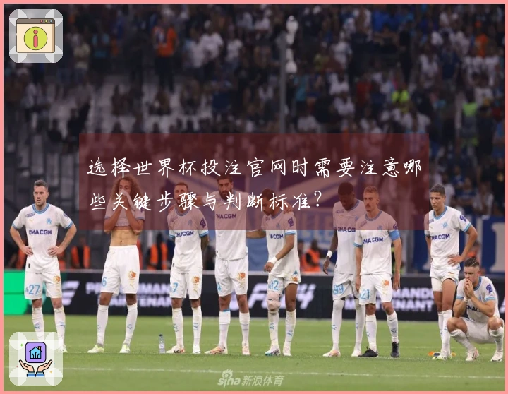 选择世界杯投注官网时需要注意哪些关键步骤与判断标准？