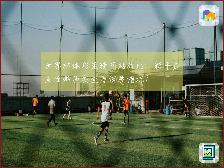世界杯体彩竞猜网站对比：新手应关注哪些安全与信誉指标？