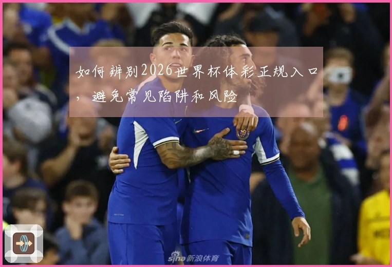 如何辨别2026世界杯体彩正规入口，避免常见陷阱和风险