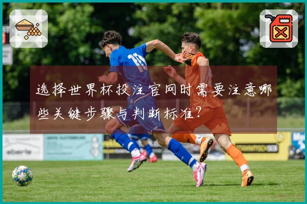 选择世界杯投注官网时需要注意哪些关键步骤与判断标准？