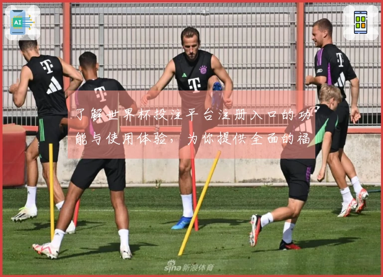 了解世界杯投注平台注册入口的功能与使用体验，为你提供全面的福利信息汇总