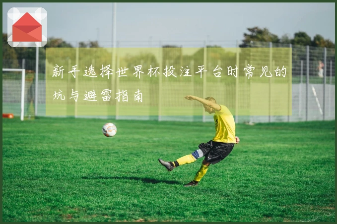 新手选择世界杯投注平台时常见的坑与避雷指南