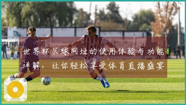 世界杯买球网址的使用体验与功能详解，让你轻松享受体育直播盛宴