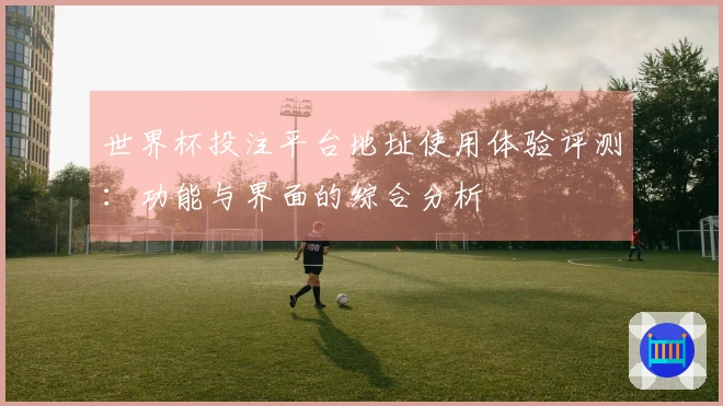 世界杯投注平台地址使用体验评测：功能与界面的综合分析