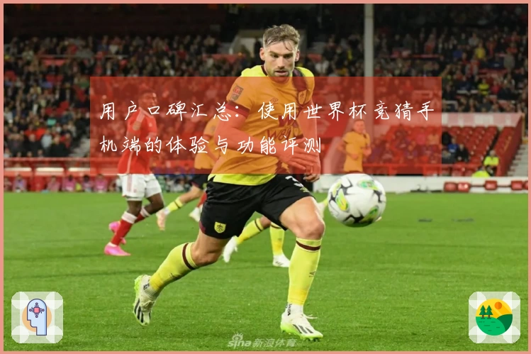 用户口碑汇总：使用世界杯竞猜手机端的体验与功能评测