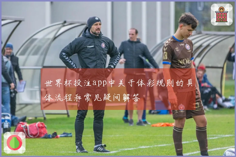 世界杯投注app中关于体彩规则的具体流程和常见疑问解答