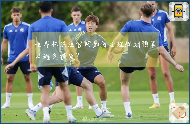 世界杯投注官网如何合理规划预算以避免损失？