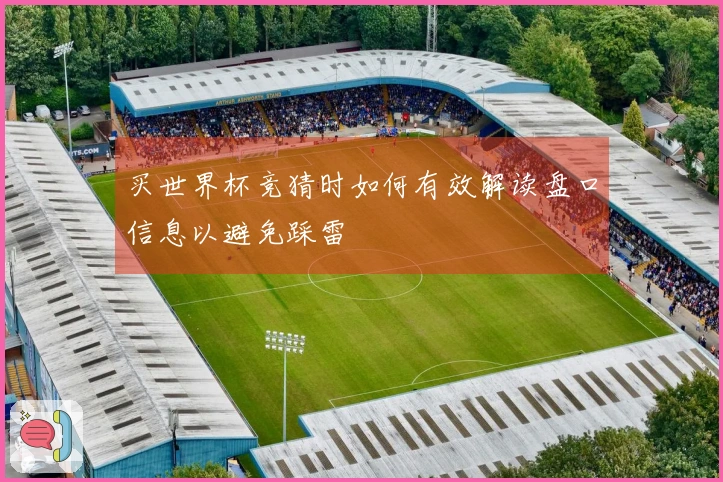 买世界杯竞猜时如何有效解读盘口信息以避免踩雷