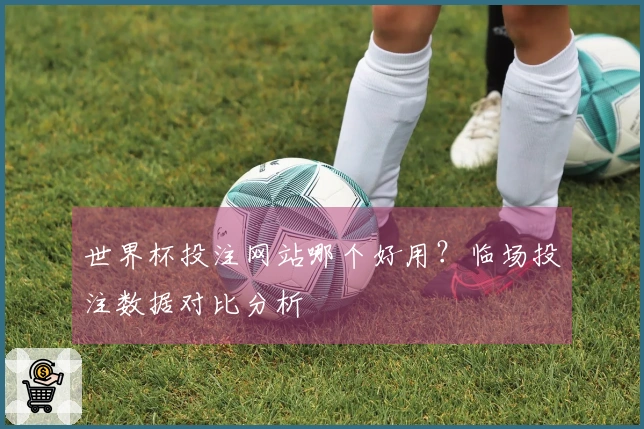 世界杯投注网站哪个好用？临场投注数据对比分析
