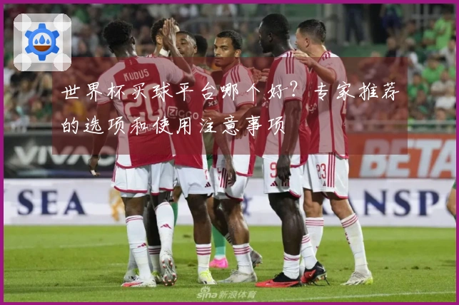 世界杯买球平台哪个好？专家推荐的选项和使用注意事项