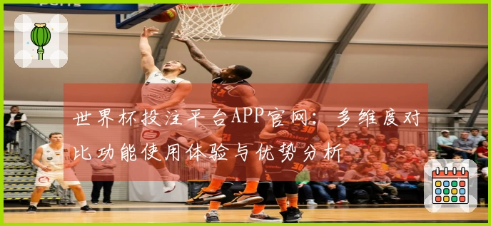 世界杯投注平台APP官网：多维度对比功能使用体验与优势分析