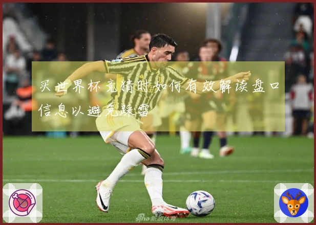 买世界杯竞猜时如何有效解读盘口信息以避免踩雷